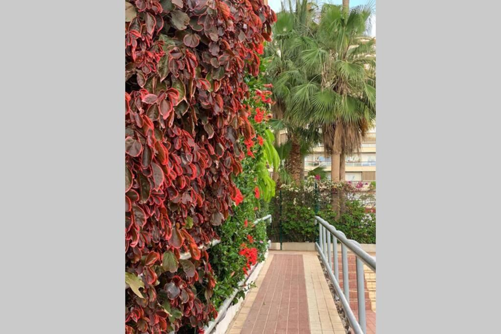 Appartement Jardines Del Sur, Ocean View à Buzanada Extérieur photo